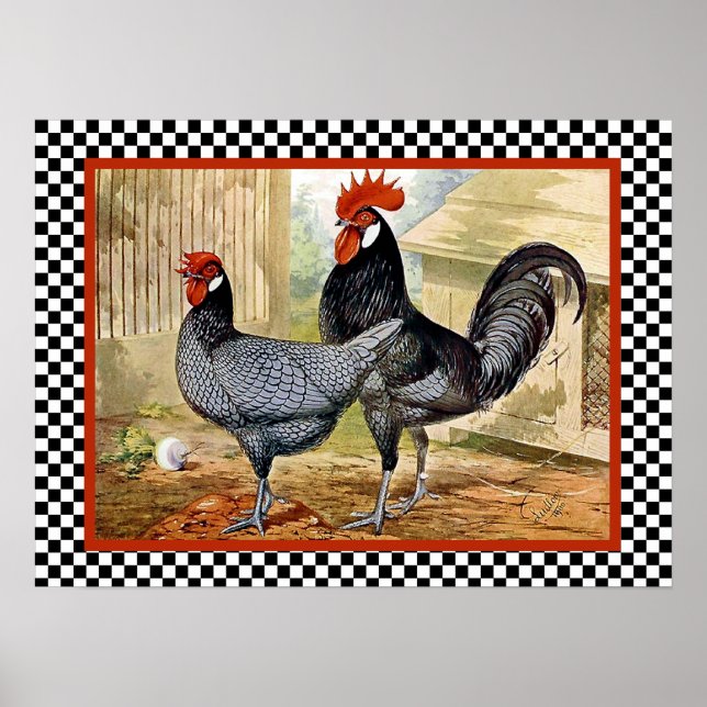 Andalusian Chickens in Farm Poster (Front)