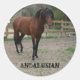 Andalusian Classic Round Sticker