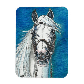 Andalusian Horse Premium Flexi Magnet