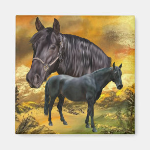 Andalusian Horse Spanish Equestrian Art Magnet