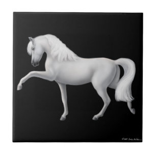 Andalusian Horse Spanish Step Tile
