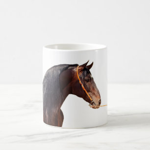 andalusian stallion at white coffee mug