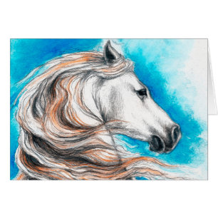 Andalusian Stallion Horse