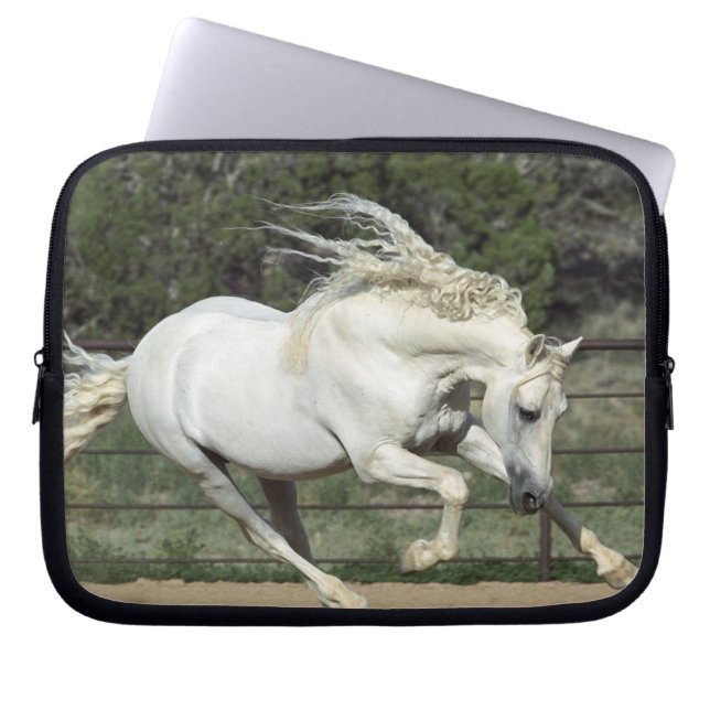 Andalusian Stallion running, PR Laptop Sleeve (Front)