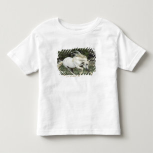 Andalusian Stallion running, PR Toddler T-Shirt