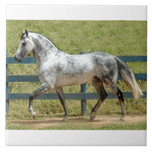 Andalusian Stallion Trotting Ceramic Tile