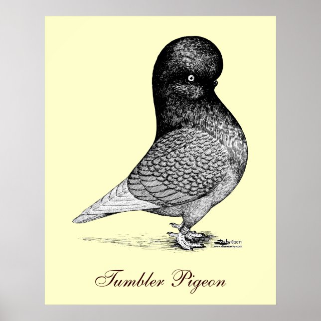 Andalusian Tumbler Poster (Front)