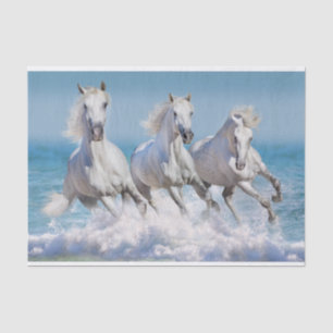 Andalusian White Horses Tissue Paper