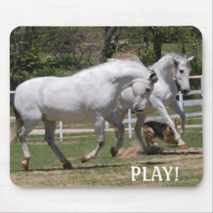 ANDALUSIANS PLAY! MOUSE PAD