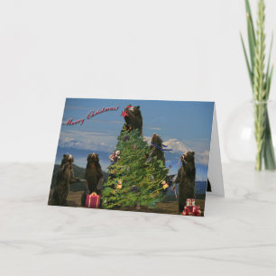 Andean Bear Christmas 2011 Holiday Card