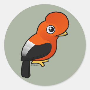 Andean Cock-of-the-rock Classic Round Sticker