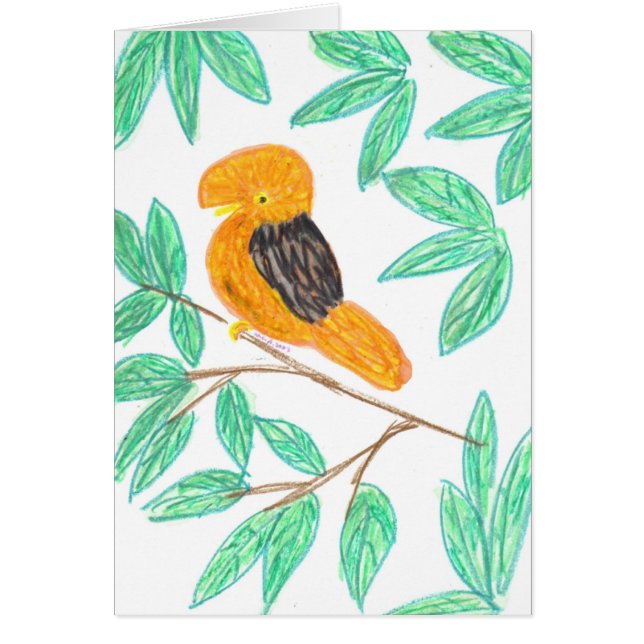 Andean CockOfTheRock (Rupicola peruvianus) (Front)