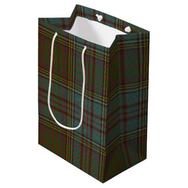Anderson Tartan Medium Gift Bag (Front Angled)