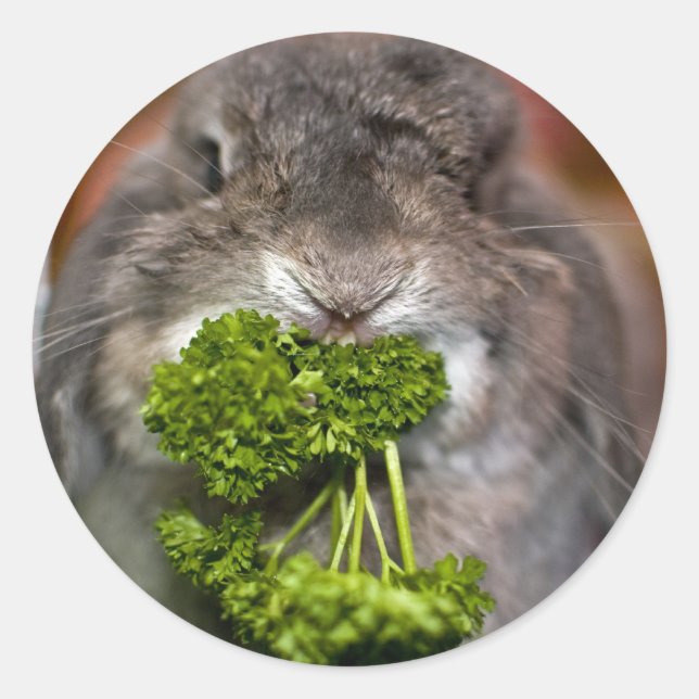Andora the bunny: Parsley attack Classic Round Sticker (Front)