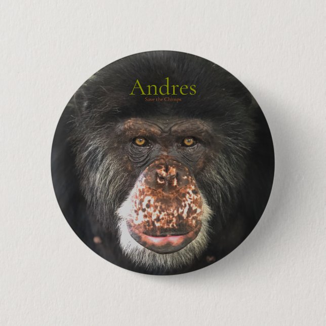 Andres, Save the Chimps 6 Cm Round Badge (Front)