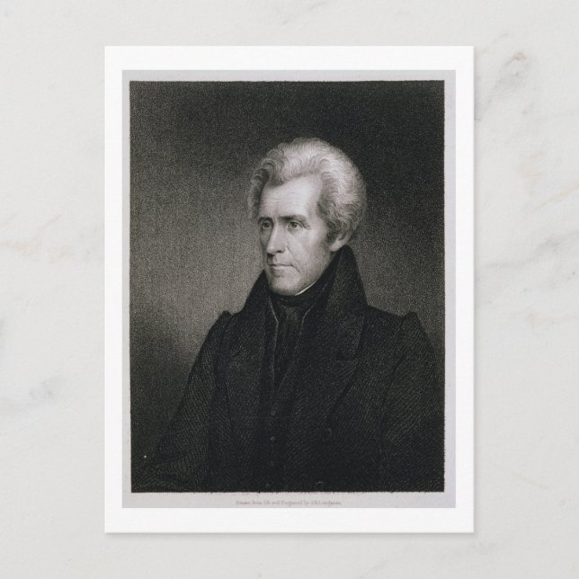 Andrew Jackson (engraving) Postcard (Front)