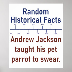 Andrew Jackson Taught His Parrot To Swear  - Histo Poster