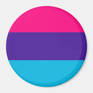 Androgyne Pride Flag Magnet