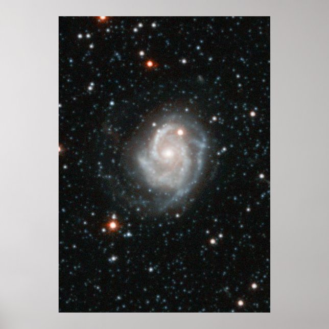 Andromeda Galaxy Halo Poster (Front)