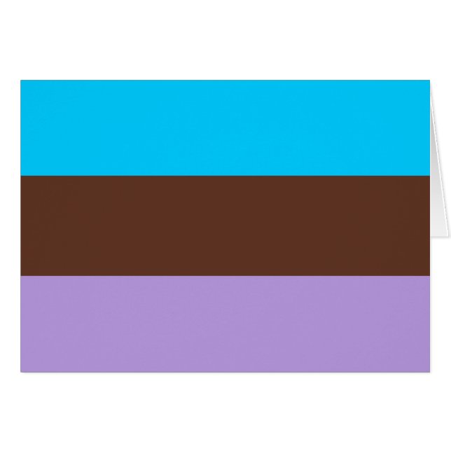 Androsexual Pride Flag (Front Horizontal)