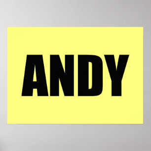 Andy Poster