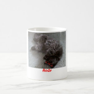 Andy the Persian cat Coffee Mug