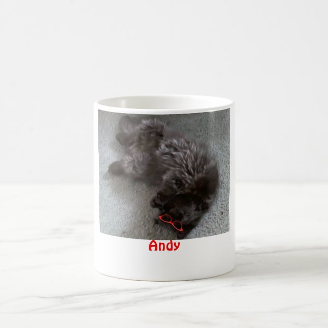 Andy the Persian cat Coffee Mug (Center)