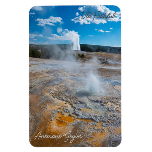 Anemone and Old Faithful Geysers Erupting Magnet