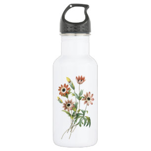 anemone(Anemone stellata) by Redouté 532 Ml Water Bottle