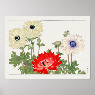 Anemone by Tanigami Konan Poster