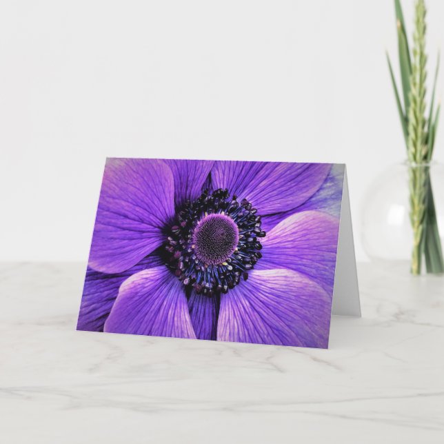 Anemone, card (Front)