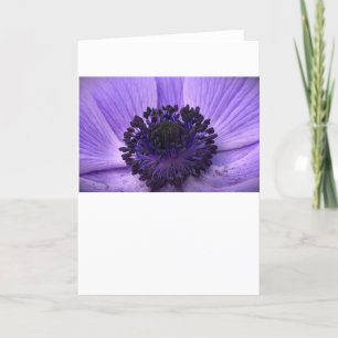 Anemone, card