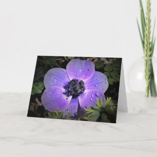 Anemone, card