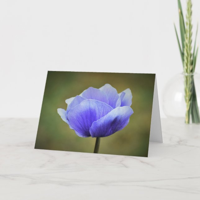 Anemone, card (Front)
