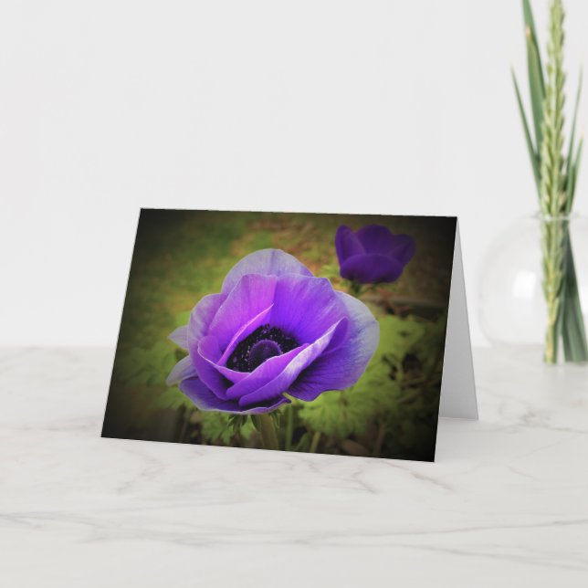 Anemone, card (Front)