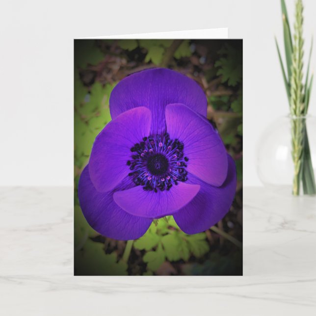 Anemone, card (Front)