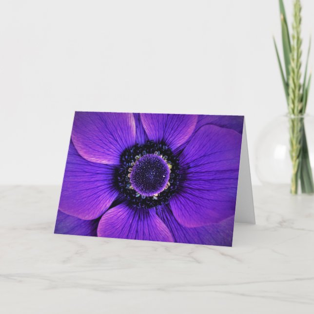 Anemone, card (Front)