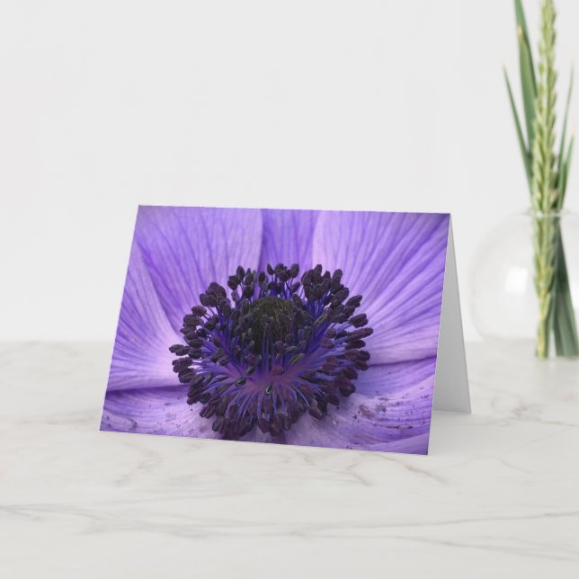 Anemone, card (Front)