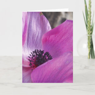Anemone Closeup Greeting Card