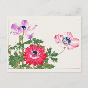 Anemone coronaria by Tanigami Konan Postcard