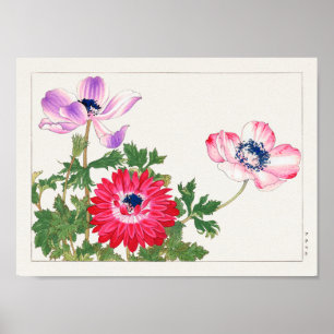 Anemone coronaria by Tanigami Konan Poster