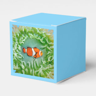 Anemone Favour Box