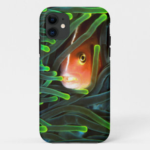 Anemone Fish Hiding In Anemone, Mozambique iPhone 11 Case