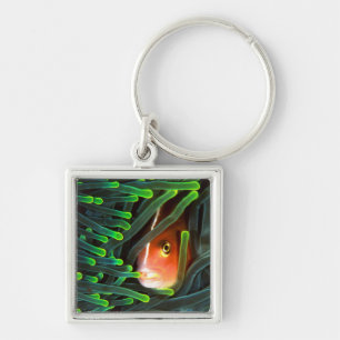Anemone Fish Hiding In Anemone, Mozambique Key Ring