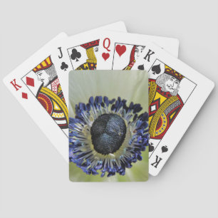 Anemone Mistral Panda Playing Cards
