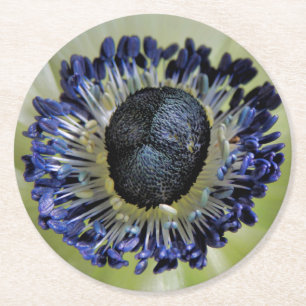 Anemone Mistral Panda Round Paper Coaster