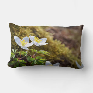 Anemone nemorosa windflower lumbar cushion