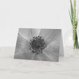 Anemone / Noir, card