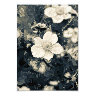 Anemone Photo Print