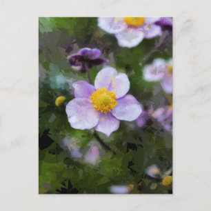 Anemone Postcard